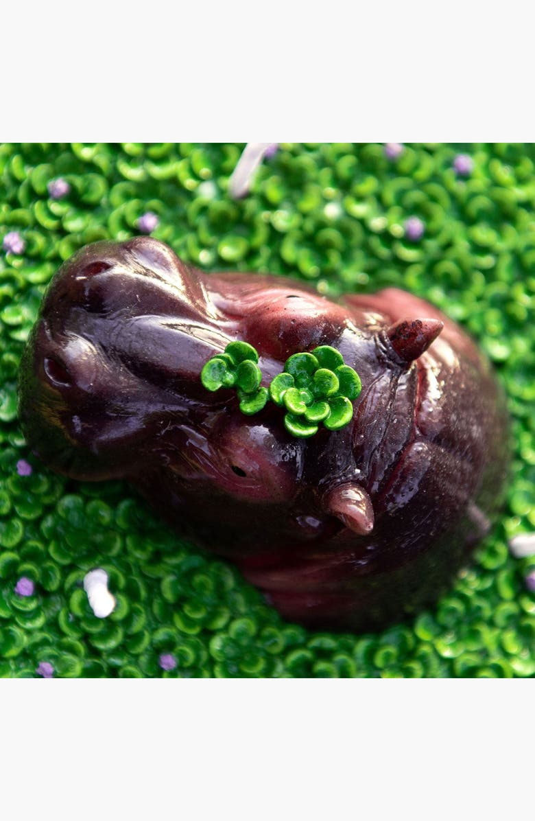 Southlake gifts Hippo Aromatherapy Scented Candle Bowl, Alternate, color, Brown / Purple / Green