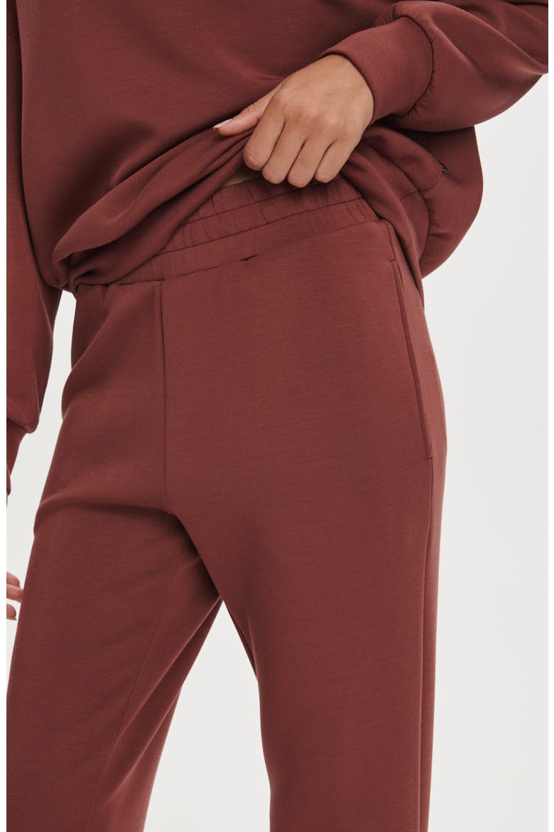 Brushed Rib Slim Cuff 25-Inch Pants, Alternate, color, CINNAMON