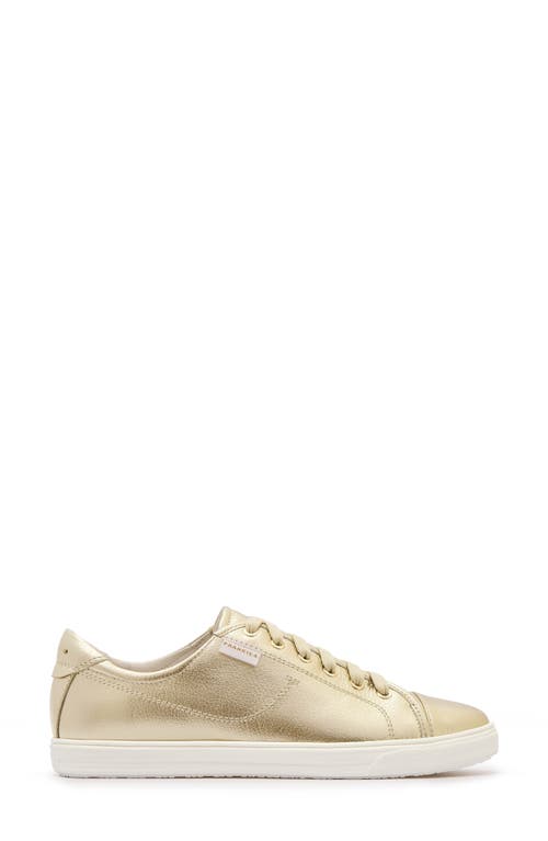 Frankie4 Nat Iii Cap Toe Sneaker In Gold Tumbled