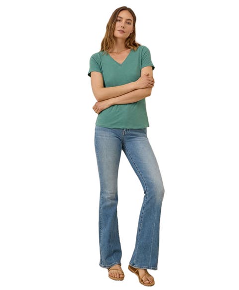 Organic Cotton Featherweight Slub V-Neck Tee