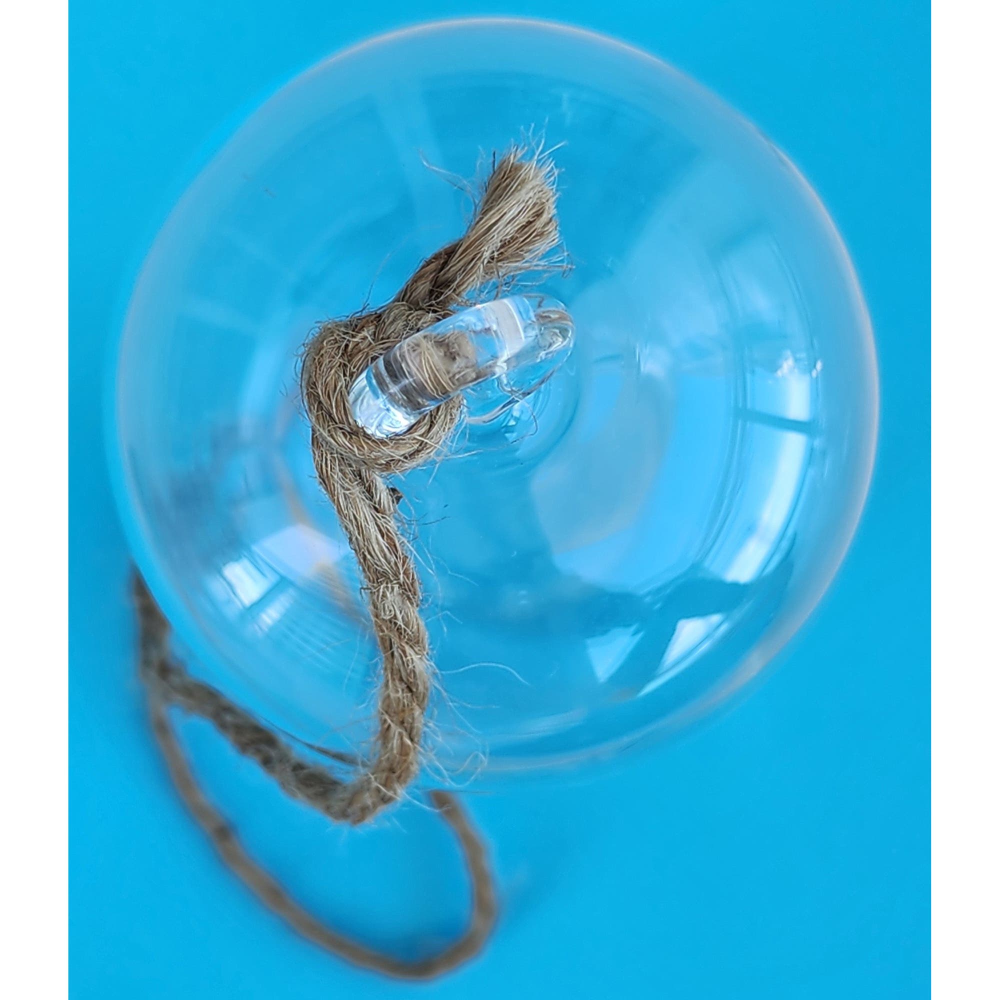Unique Gardener Carefree Capsule Glass Terrarium | Nordstrom
