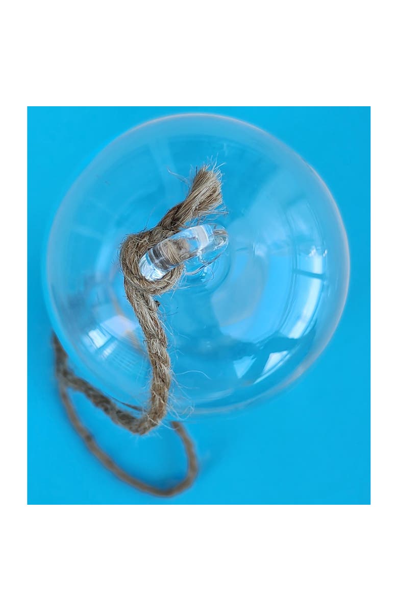 Unique Gardener Carefree Capsule Glass Terrarium, Alternate, color, Clear