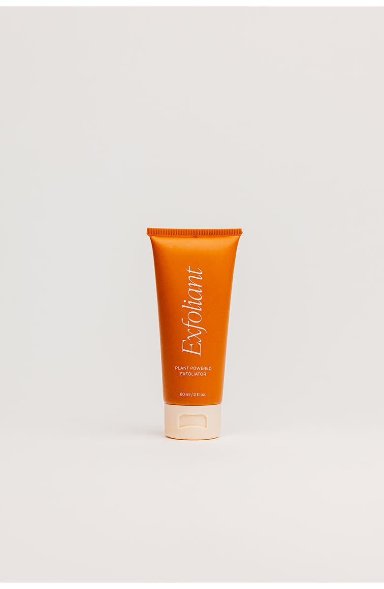 The Daily Essential Co Travel Exfoliant, Main, color, 2Oz