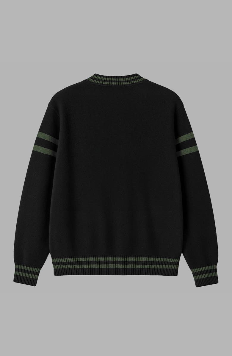 Blvck Harry Potter x Blvck Slytherin Cardigan, Alternate, color, Black/Green