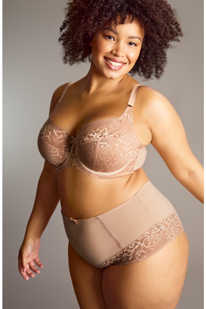 Estel High Waist Lace Trim Briefs, Alternate, color, HONEY