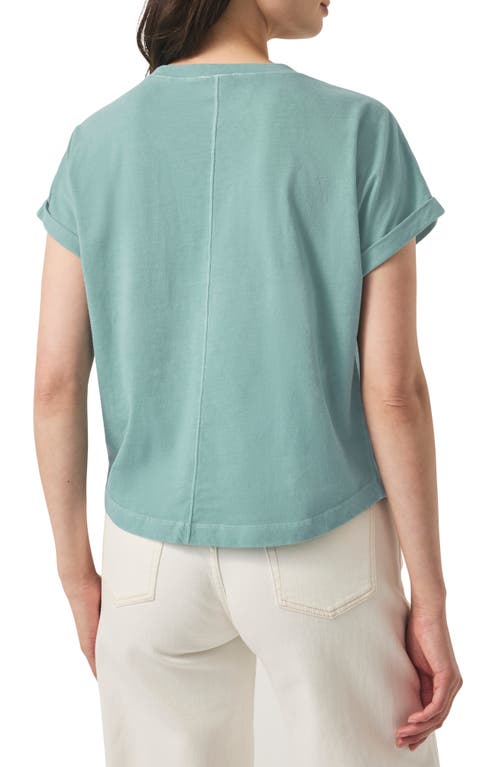 Splendid Skye T-shirt In Mineral