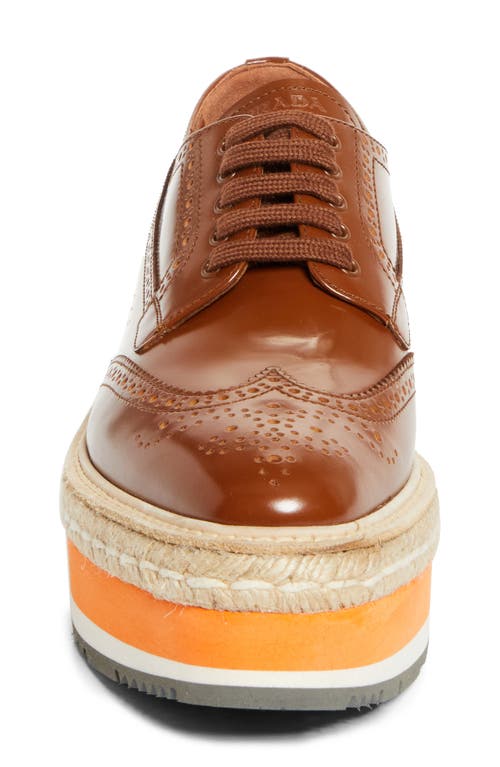 Prada Spazzolato Re-edition Platform Wingtip Loafers In Tabacco