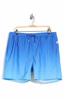 Performance Volley Swim Trunks