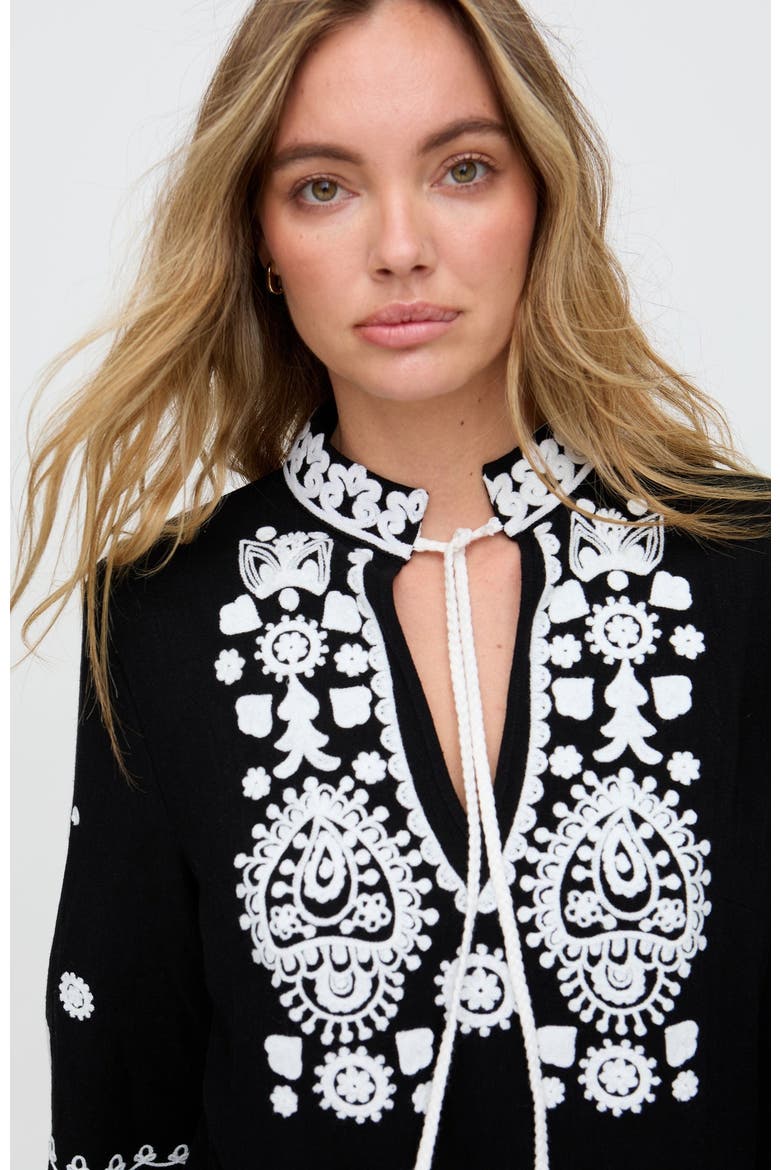 Katie Fringe Embroidered Mini Dress, Alternate, color, Black