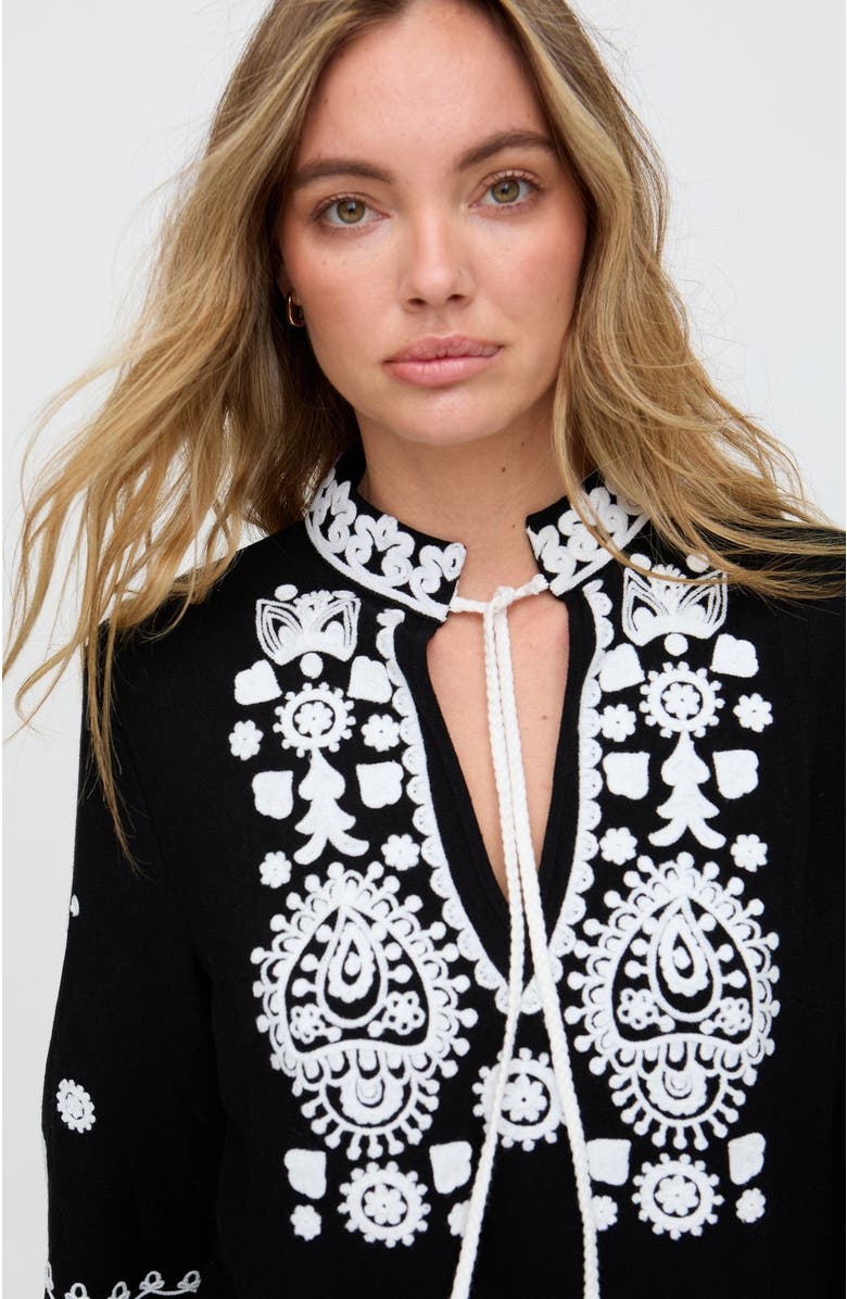 Raffya Katie Fringe Embroidered Mini Dress, Alternate, color, Black