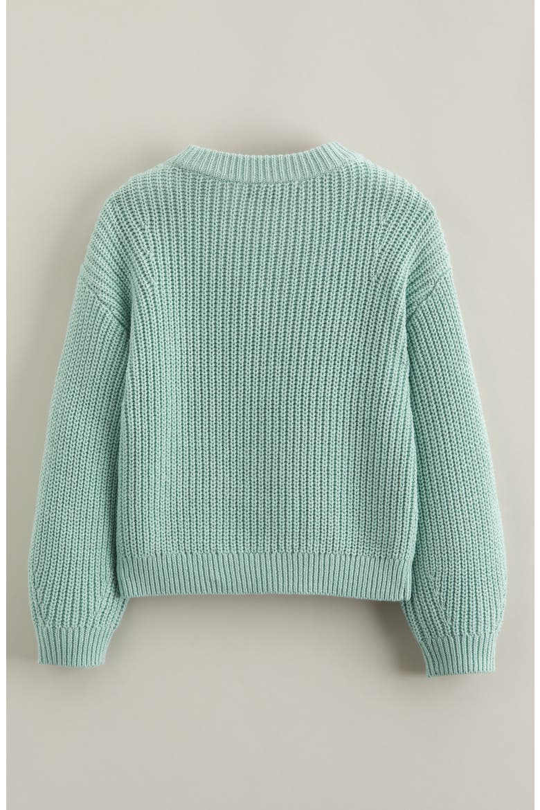 Kids' Embroidered Crewneck Sweater, Alternate, color, GREEN FLORA BOWS EMBROIDERY