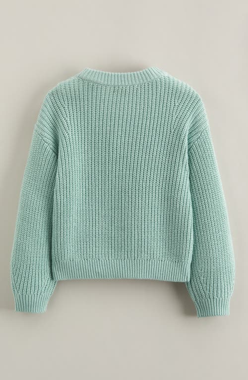 Tucker + Tate Kids' Embroidered Crewneck Sweater In Green