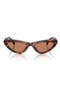  Havana / Brown