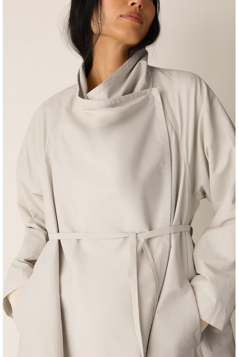 High Drape Neck Coat, Alternate, color, PALE STRIPE
