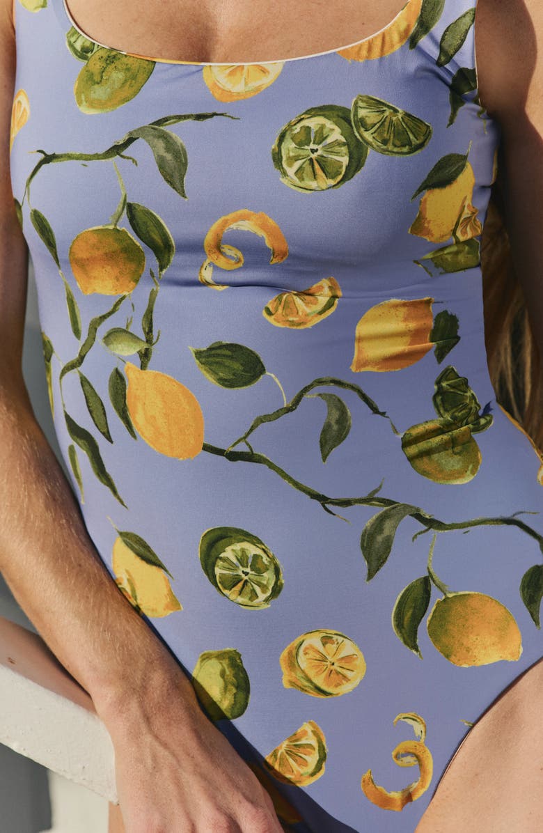 Hermoza Janece Reversible One-Piece, Alternate, color, Slice Of Life