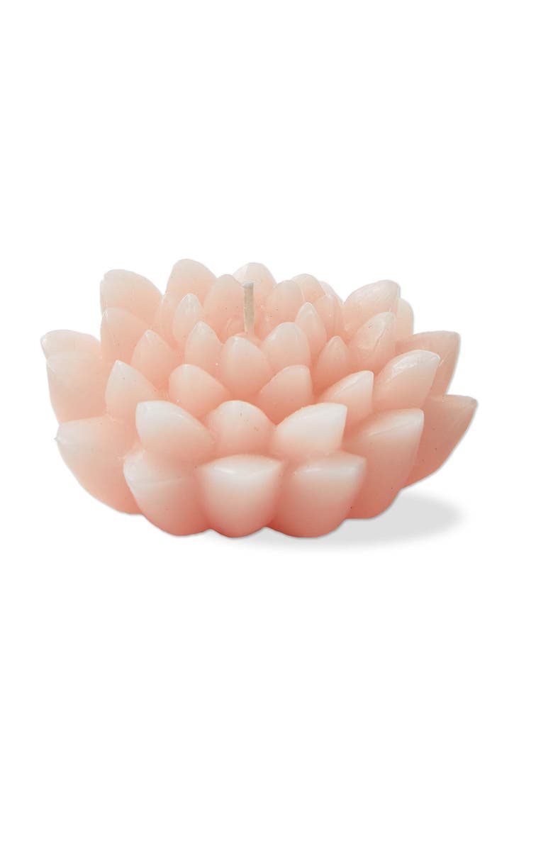 tag Blossom Flower Shaped Novelty Candle Coral 2.5 Hour Burn, Main, color, Pink