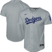 Nike Youth Nike Gray Los Angeles Dodgers Alternate Stadium Jersey