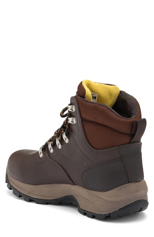 Hi-tec Altitude Vi I Waterproof Hiking Boot In Dark Brown