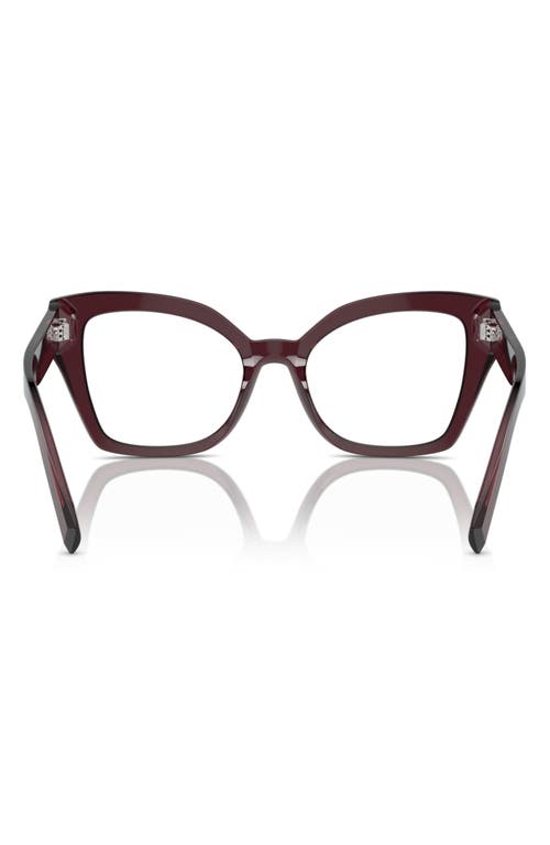 Dolce & Gabbana Dolce&gabbana 53mm Butterfly Reading Glasses In Transparent Violet