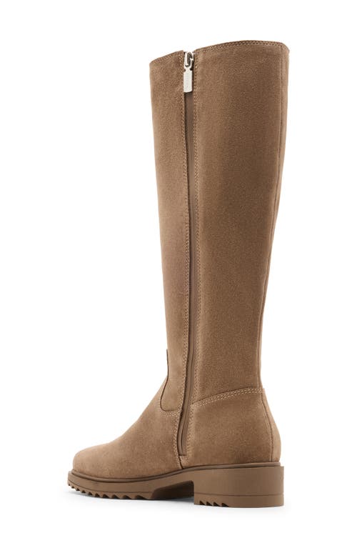 Blondo Ciana Waterproof Knee High Riding Boot In Brown