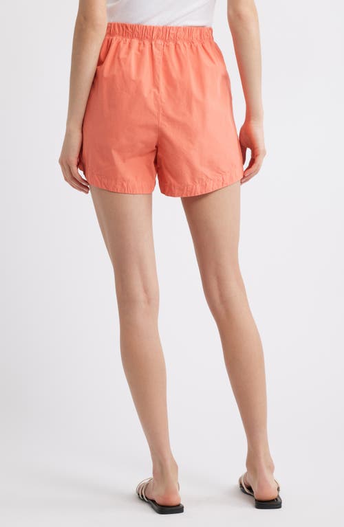 Nation Ltd Flynn Pima Cotton Poplin Shorts In Coral Kiss