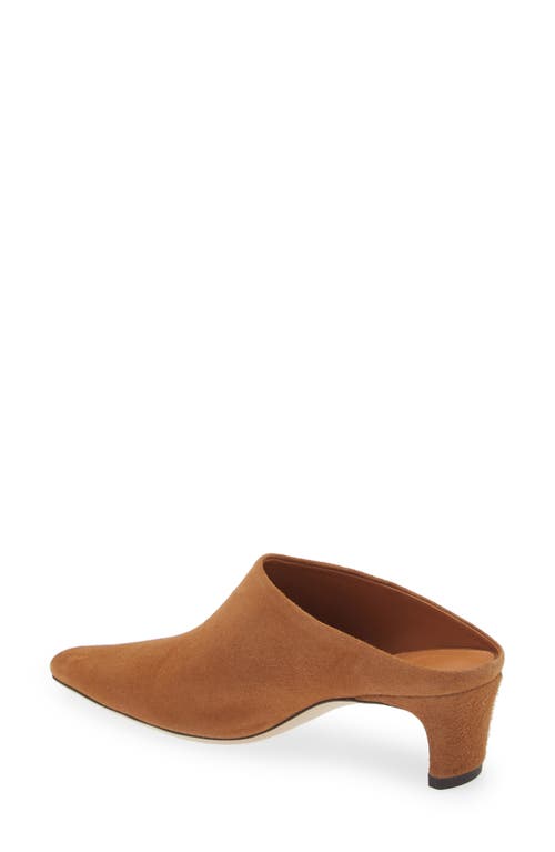 Staud Wally Mule In Brown