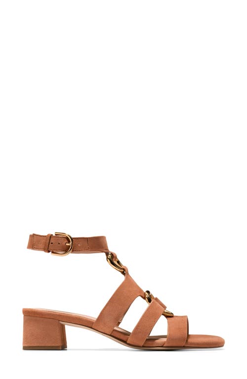 Cole Haan Lyanna Link Ankle Strap Sandal