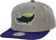 Mitchell & Ness Men's Mitchell & Ness Gray Tampa Bay Rays Cooperstown Collection Basic Flip Snapback Hat