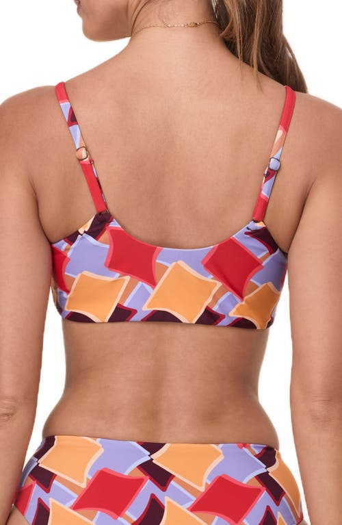 Andie The Maui Bikini Top