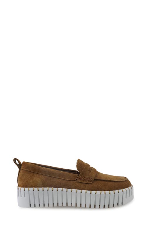 National Comfort Makota Suede Loafer In Tan Suede