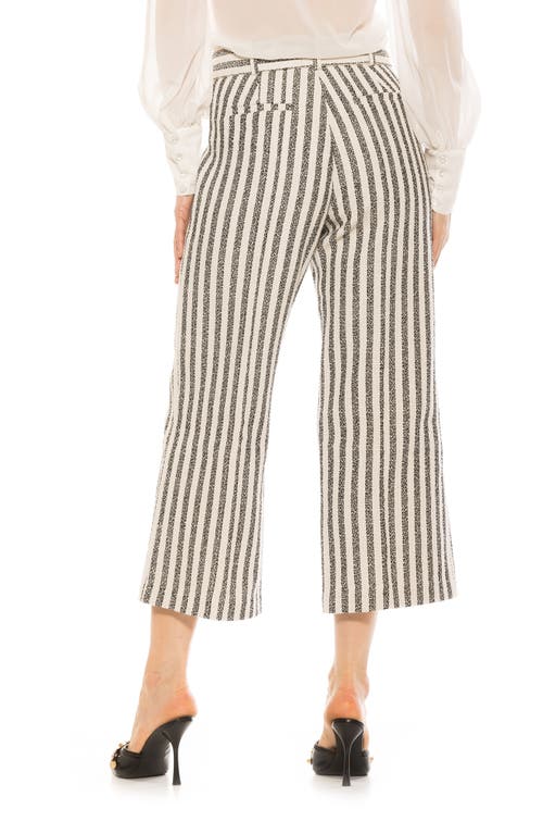 Alexia Admor Caden Tweed Wide Leg Pants In Navy Stripe