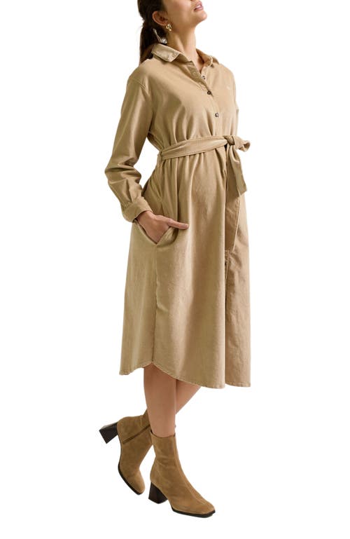 Zzdnu Cache Couer Jude Maternity Dress In Brown