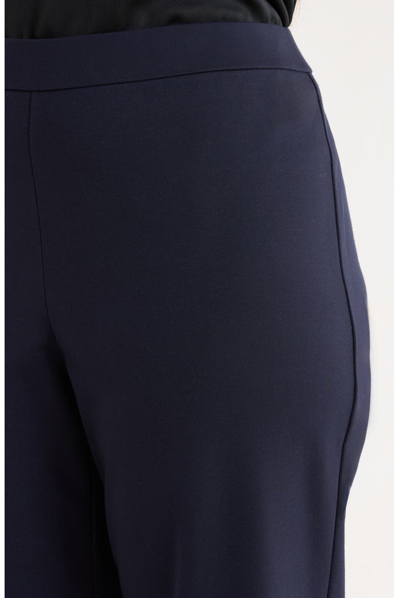 Double Knit Ankle Straight Leg Pants, Alternate, color, INK