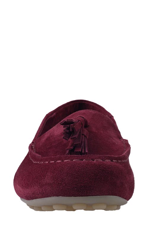 Artisan Crafted By Zigi Patsy Tassel Loafer