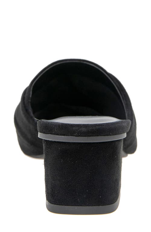 Splendid Lanis Block Heel Mule In Black