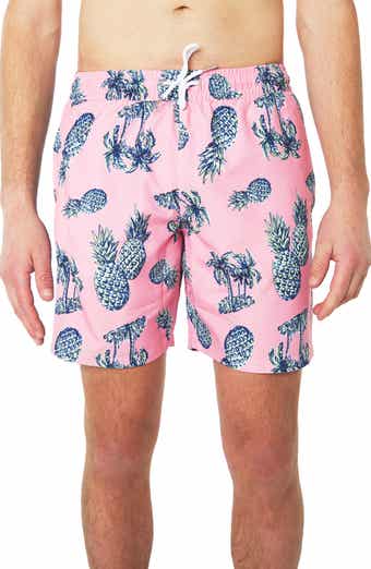 Slate & Stone Cabo Swim Trunks