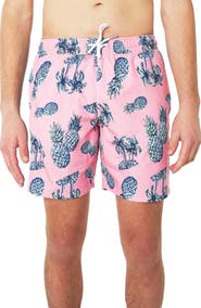 Slate & Stone Cabo Swim Trunks