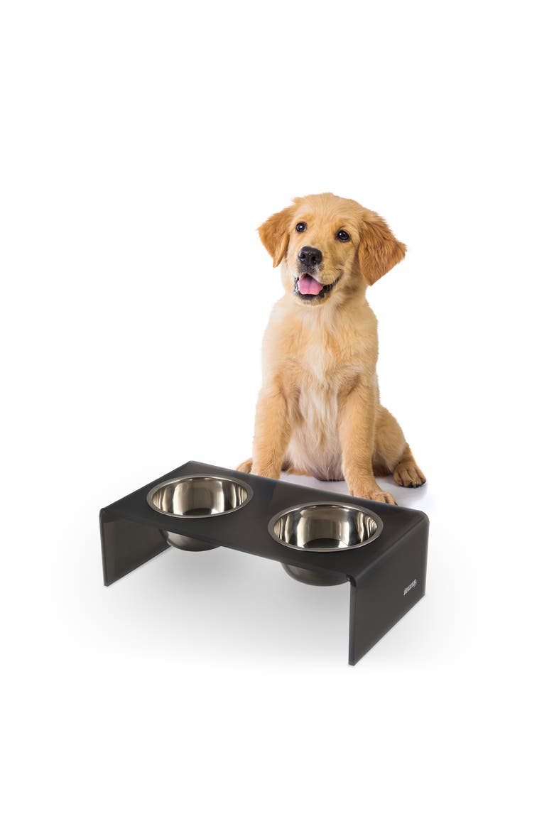 Keaton Modern Lucite Rectangular Elevated Pet Feeder with 2-Stainless Steel Bowls, Main, color, Dark Gray/Chrome