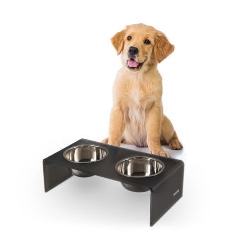 Keaton Modern Lucite Rectangular Elevated Pet Feeder with 2-Stainless Steel Bowls