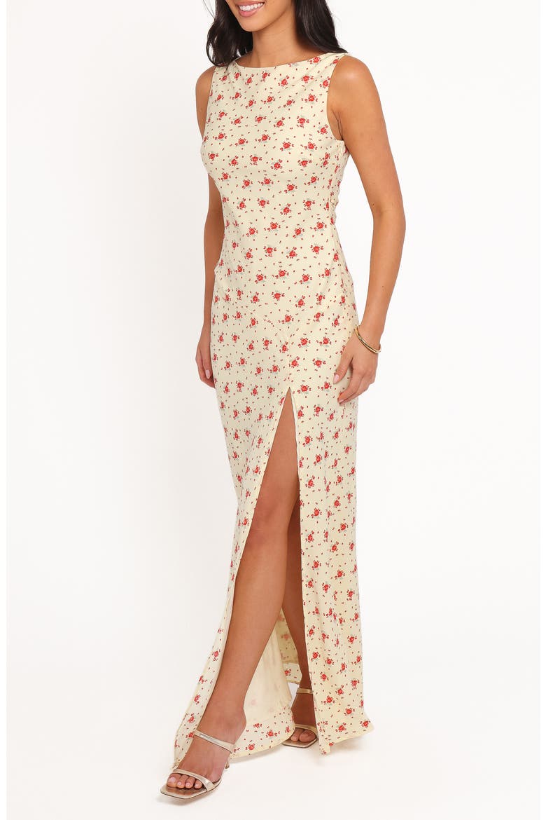 Alima Sleeveless Maxi Dress, Alternate, color, YELLOW FLORAL