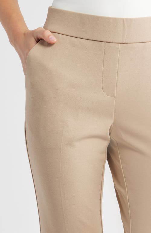 Ak Anne Klein High Waist Pull-on Pants In Neutral
