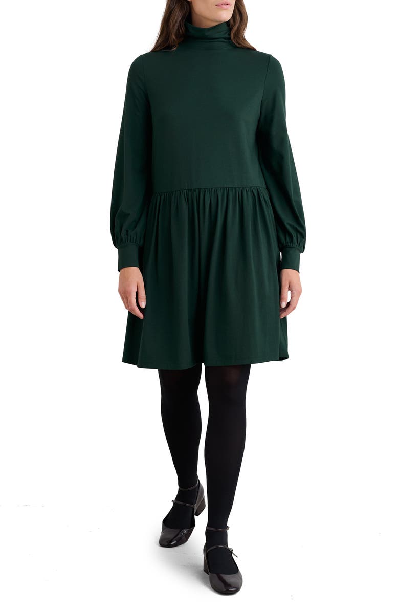 Seasalt Cornwall Elinora Turtleneck Long Sleeve Dress, Main, color, 