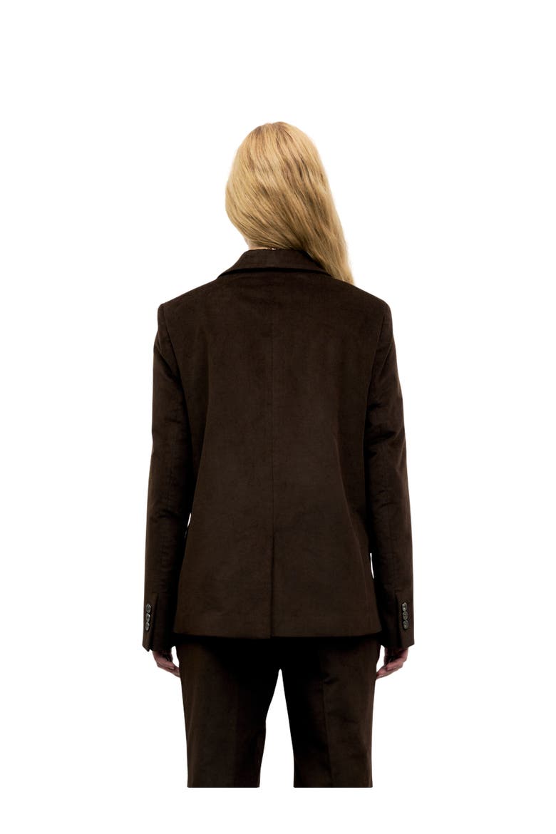 Jem Velvet Jacket, Alternate, color, Cinnamon