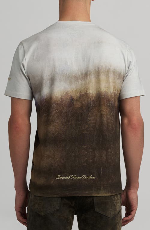 Prps Rainbow Room Cotton Graphic T-shirt In Brown