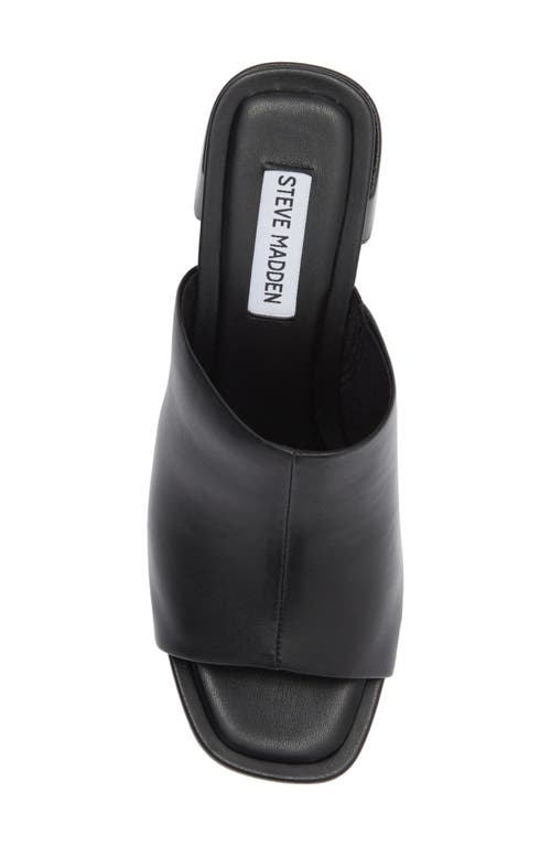 Steve Madden Ammanda Mule In Black