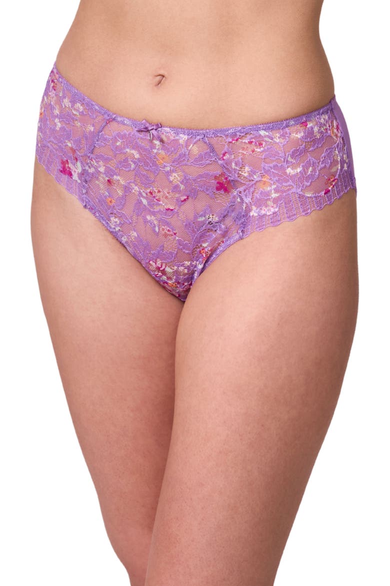 Lace & Microfiber Briefs, Main, color, TULIP/ TULIP FIELD