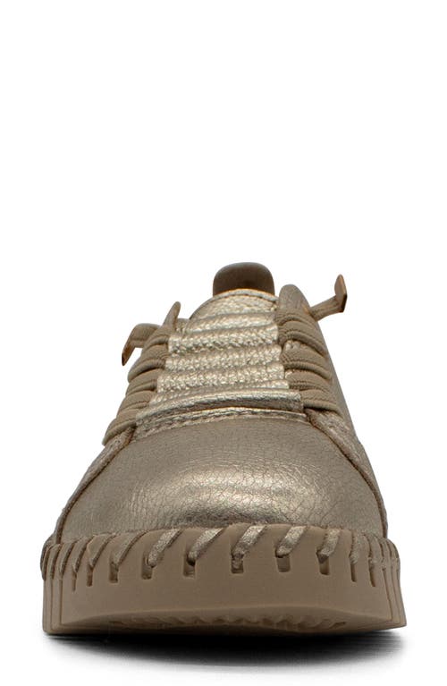 Bottero Bottwister Verao Xxiii Perforated Leather Sneaker