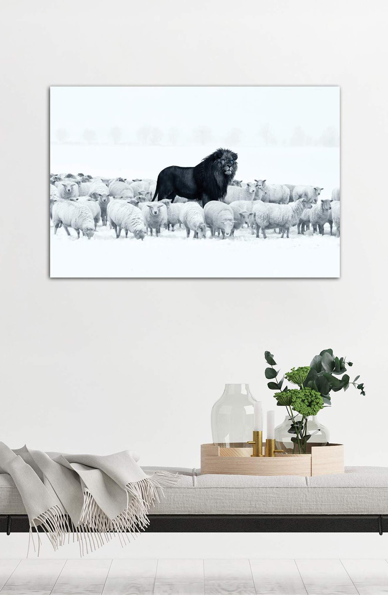iCanvas Lion Among Sheep by Ruvim Noga | Nordstromrack