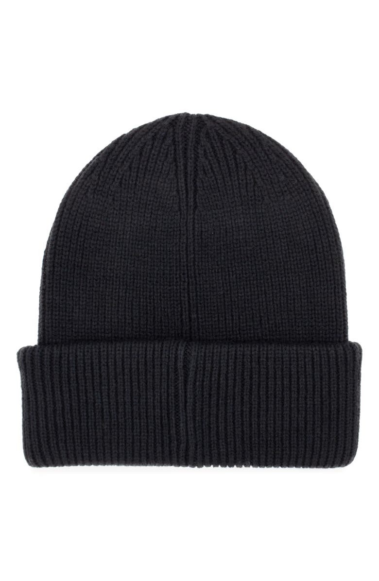 Arctic Fox & Co The Recycled Bottle Beanie, Alternate, color, Black Onyx