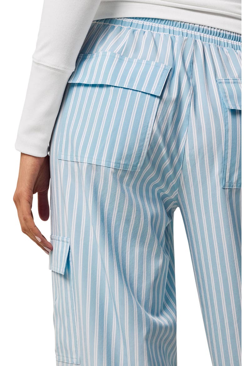 Windsor Stripe Ashe Cargo Pants, Alternate, color, AIR